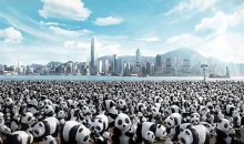 #展览# Paulo Grangeon 携手 WWF 打造纸熊猫展将于下月造访香港