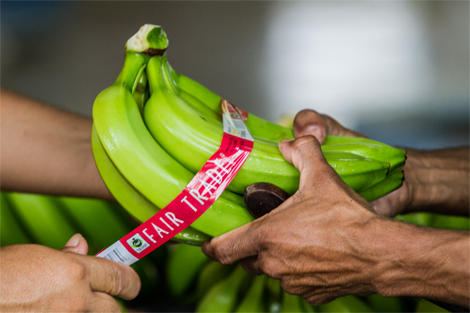 fair trade certified bananas